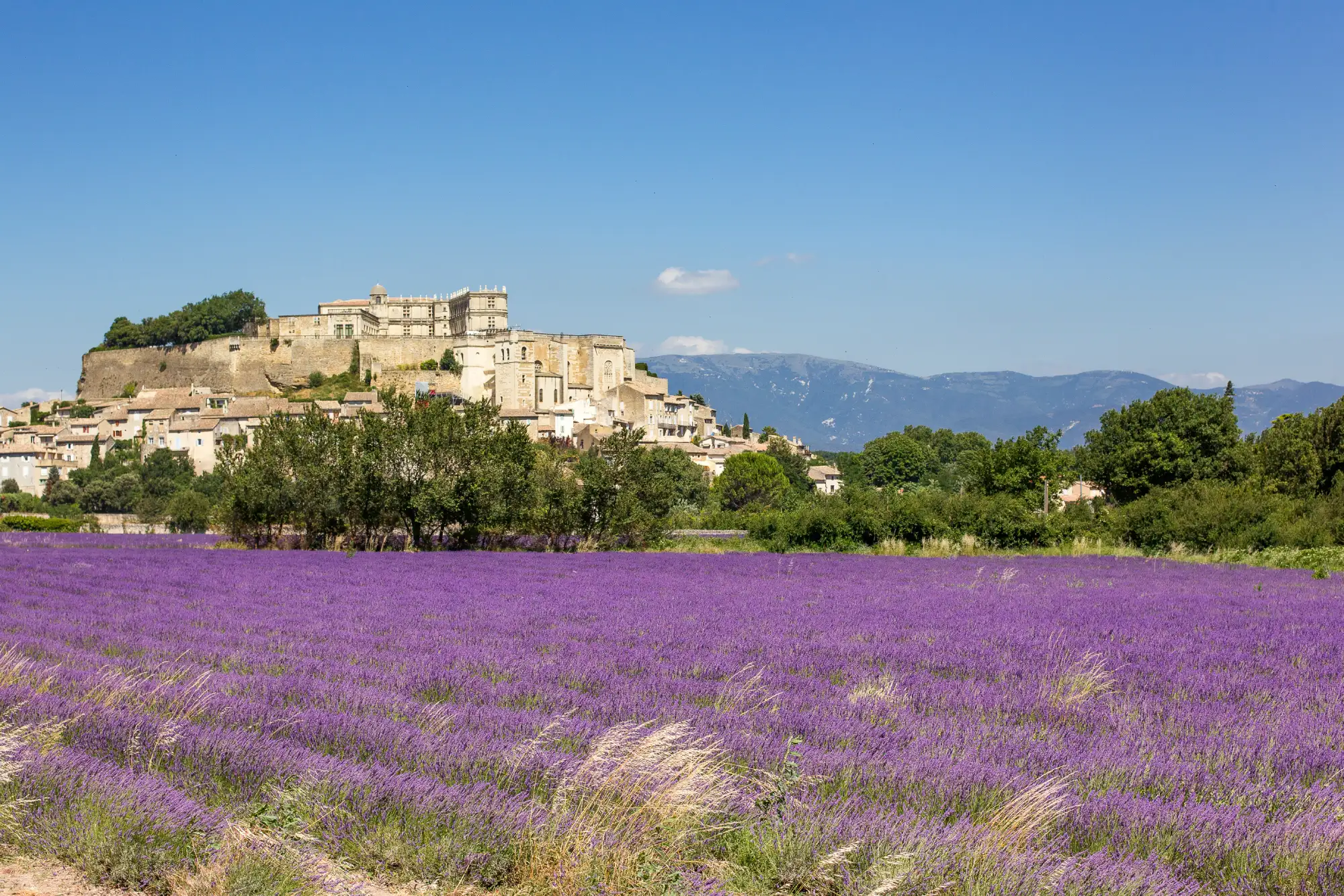 chateau de grignan