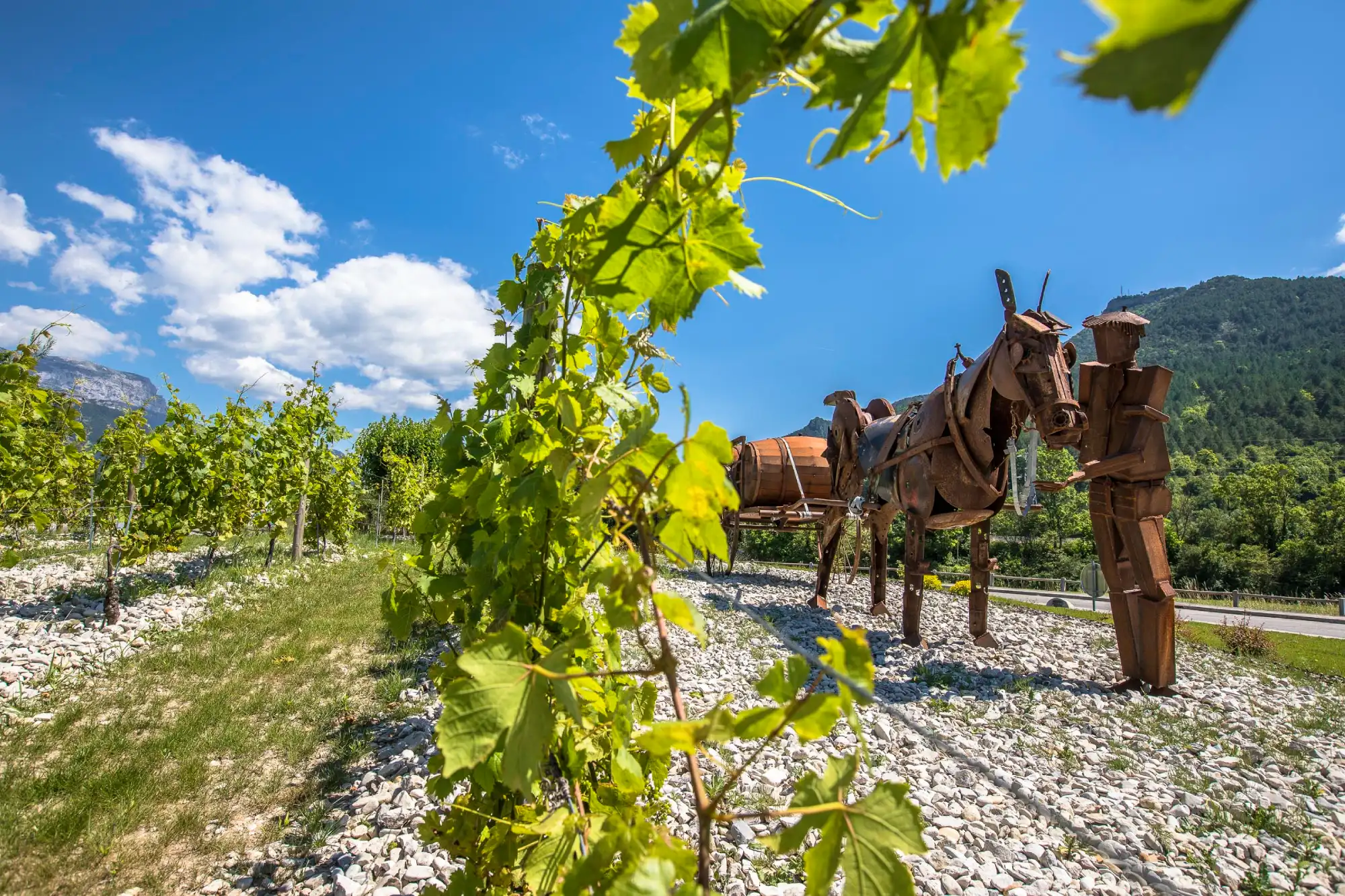 vignes drome