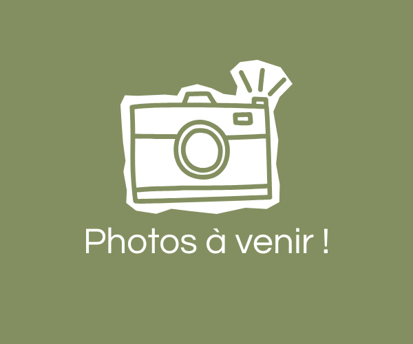 Mobil-home Premium Domino